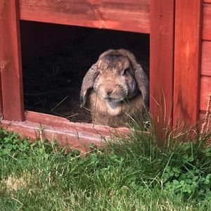 Meet your Posher, Bethany